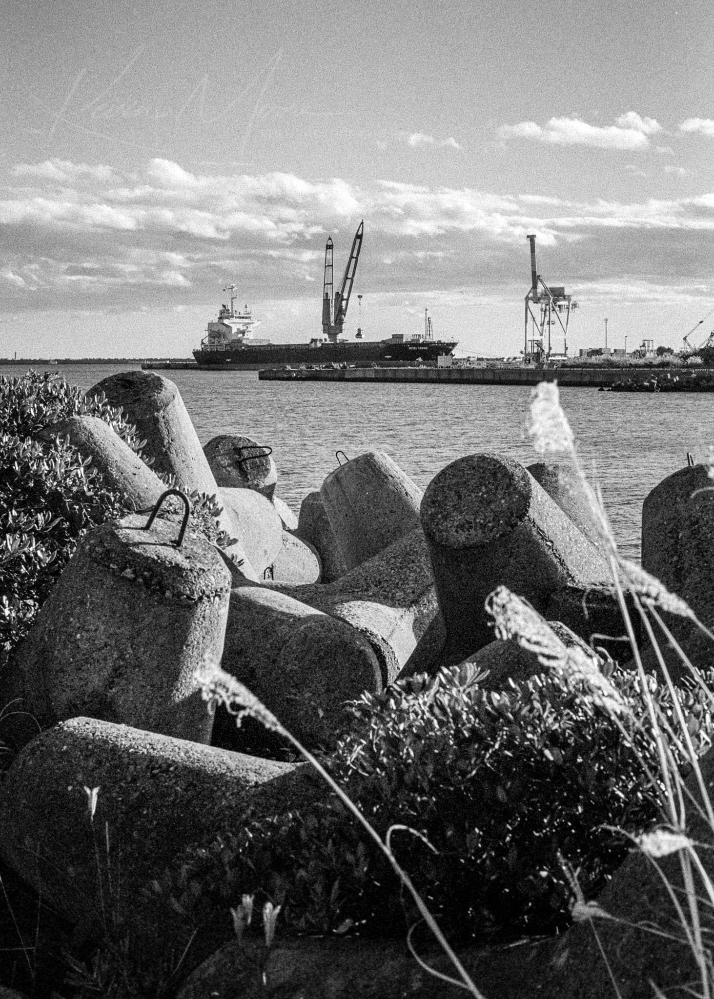 Industrial harbor with cranes, ship, and concrete wave breakers in a monochrome setting.